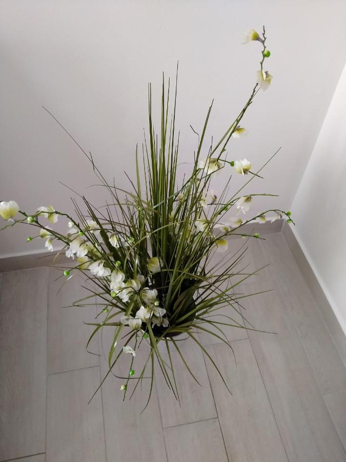 Apartman Avsec Krk Town Zewnętrze zdjęcie